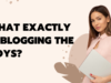 What Exactly Is Blogging the Boys? Blogging the Boys
